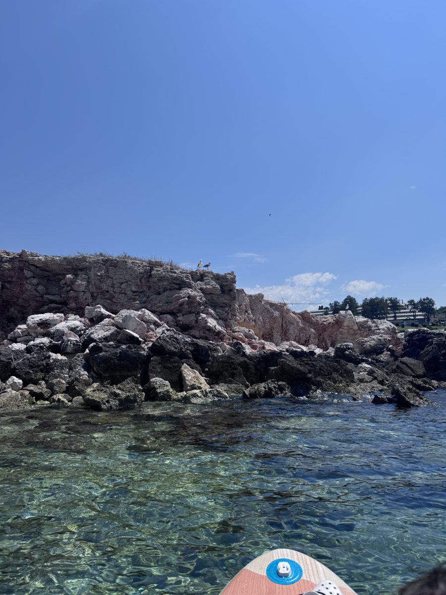 Martılar kayalık üzerinde — SUP'dan görünüş