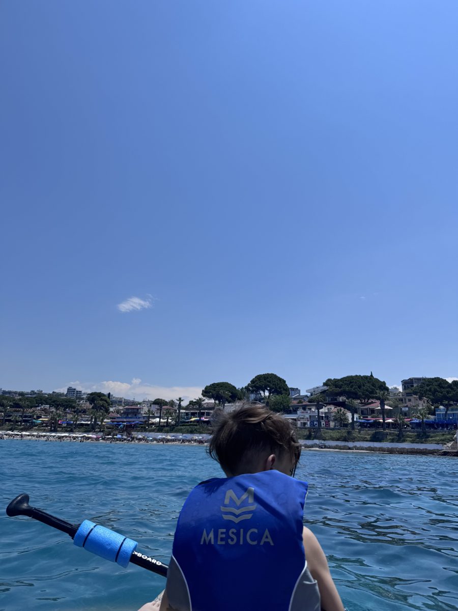 Ladies Beach'e yaklaşırken — promenad ve palmiyeler
