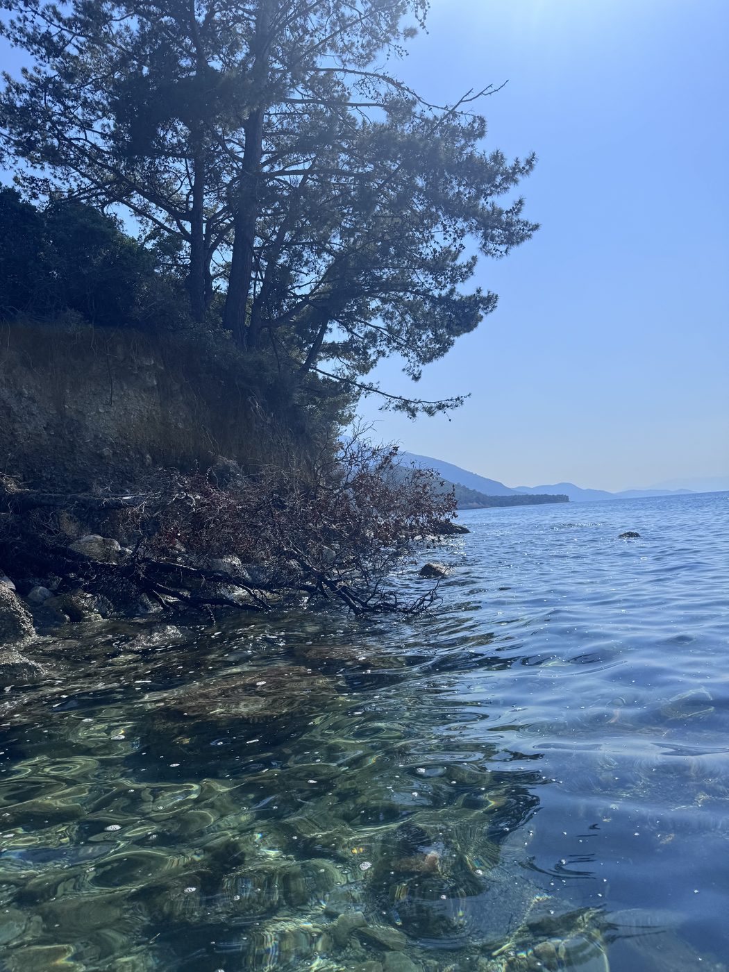 Milli Park gizli koy — berrak su ve kayalık