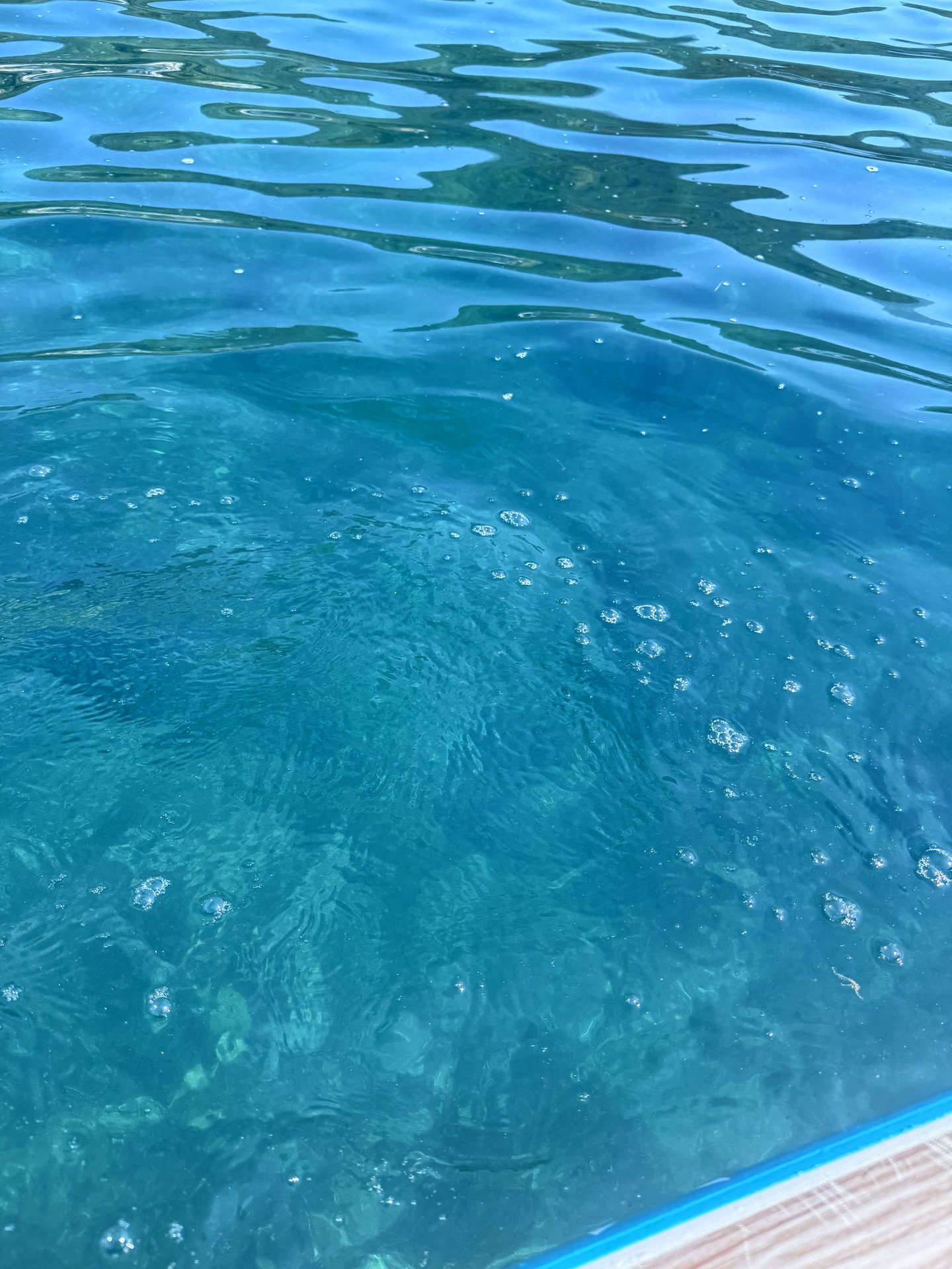 Selçuk Pamucak sahilinde SUP board rotası — Büyük Menderes deltası paddle board