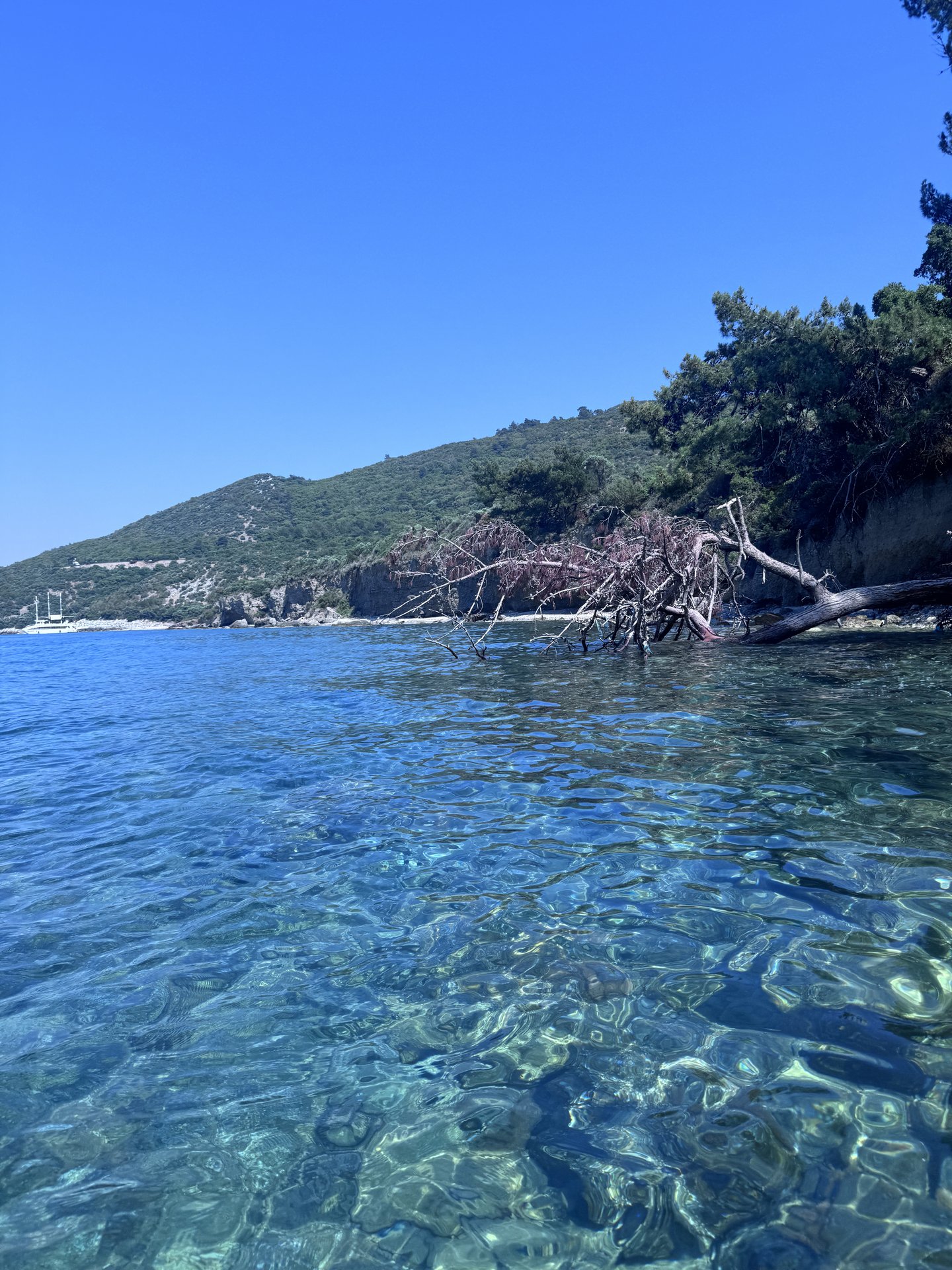 Selçuk'ta şişme SUP board kiralama — Efes antik kenti yakınında kürek sörfü