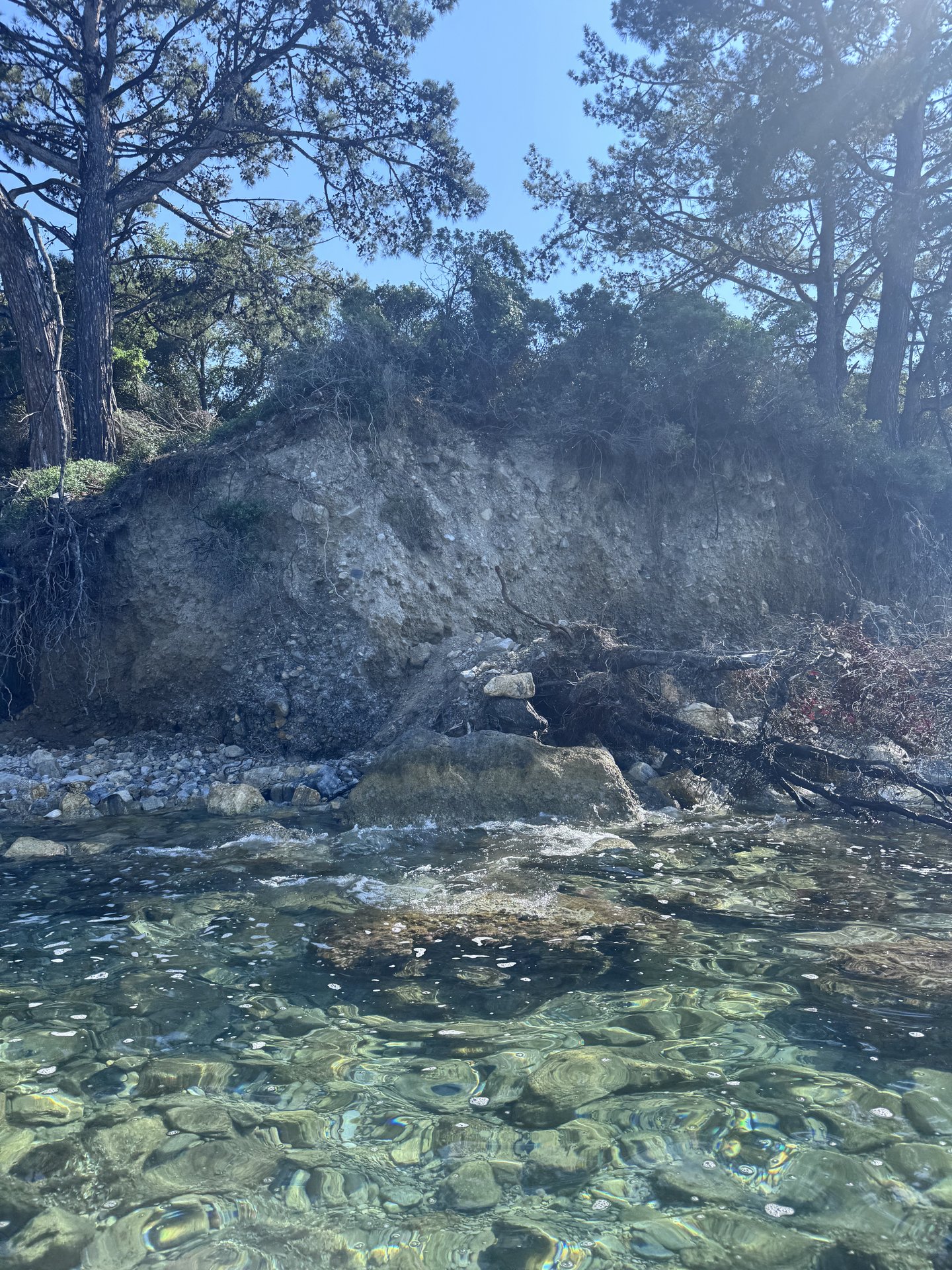 Alaçatı sahilinde SUP board kiralama — Çeşme yarımadasında kürek sörfü
