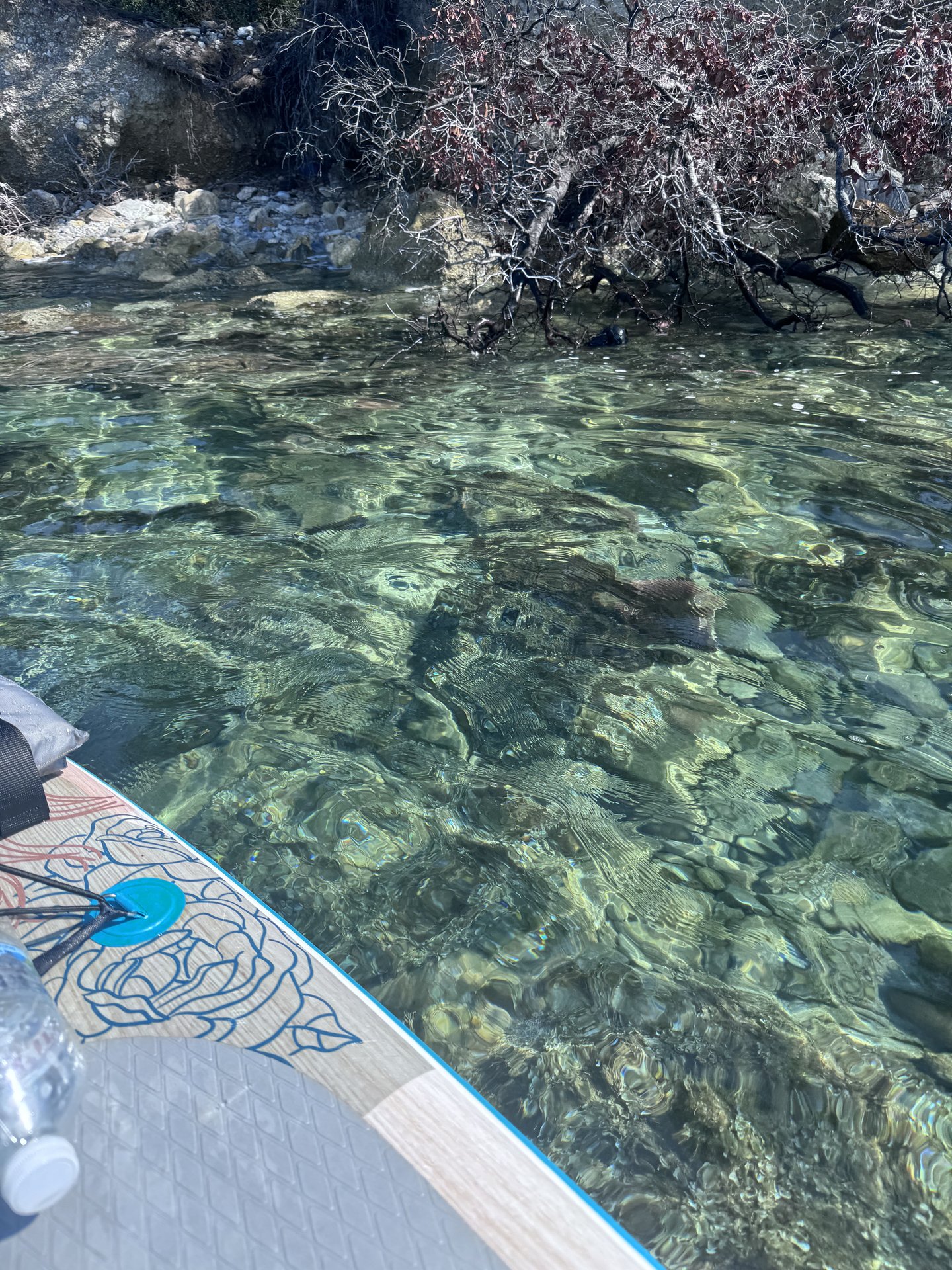 PinkApple SUP board Ege kıyısı fotoğraf 107