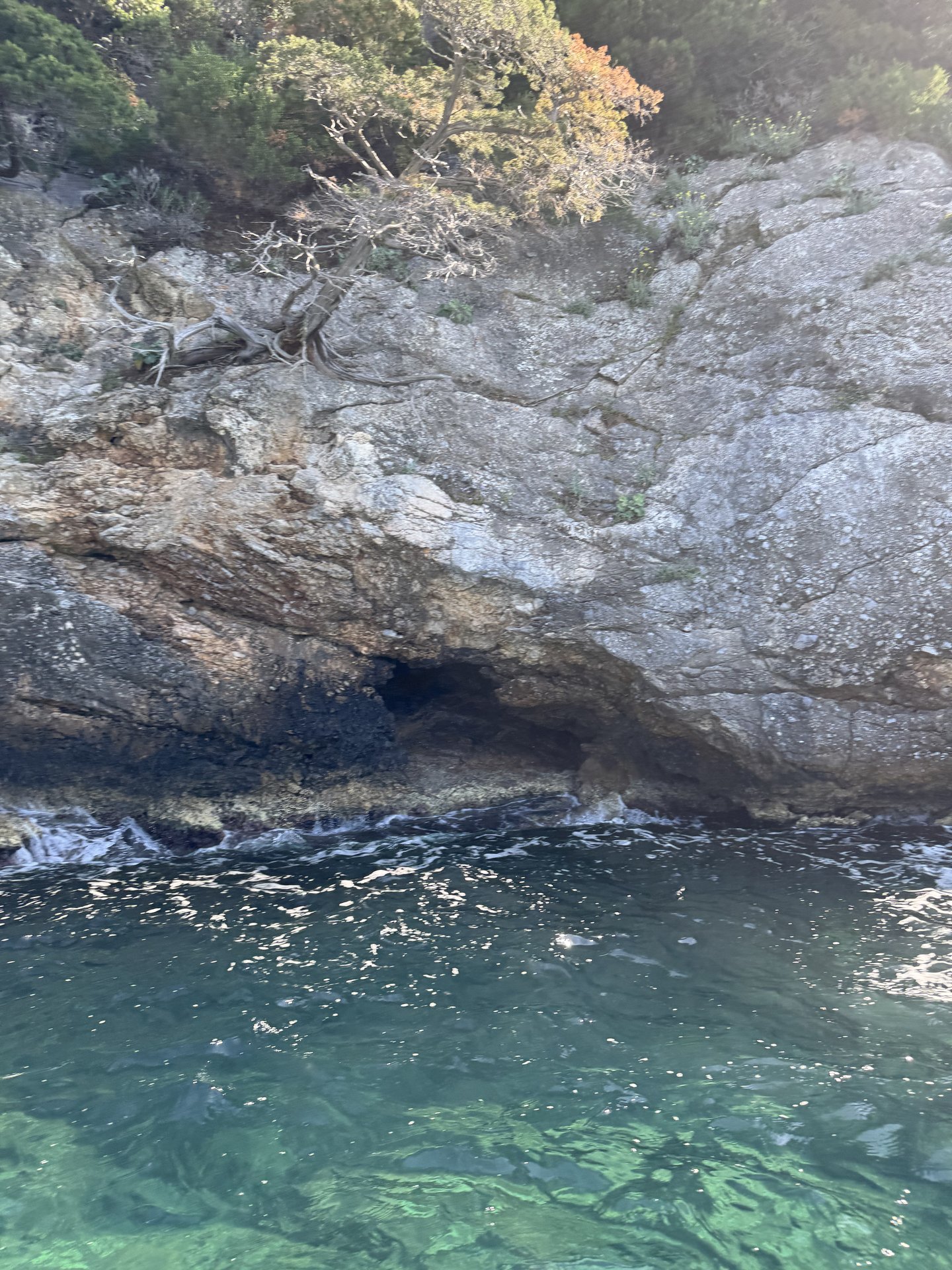 Özdere'de şişme SUP board kiralama — Ege kıyısında kürek sörfü